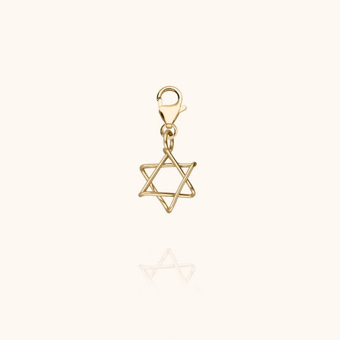 Small Locket Symbolic Charms - star of David